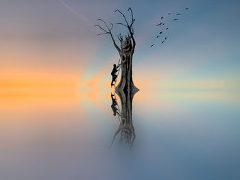 Bare tree against sky during sunset