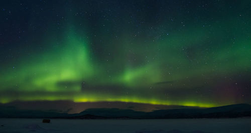 Scenic view of northern lights and star field against sky at night