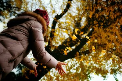 Low angle view of person on tree trunk