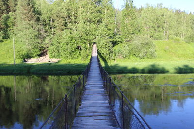 View of canal passing through a forest