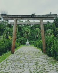 Walkway amidst plants and trees against sky