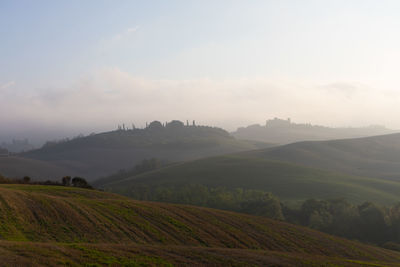 Scenic view of agricultural field against sky