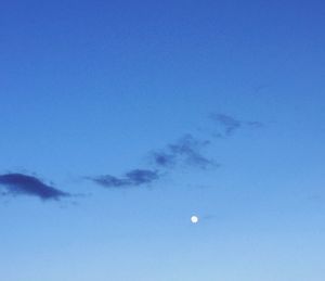 Low angle view of moon in sky at night