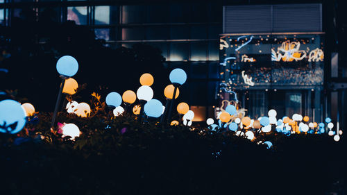 Illuminated christmas tree at night