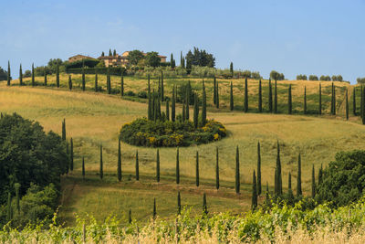 Scenic view of farm against sky