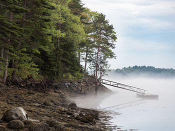 Foggy ocean morning covers a dock on the maine coast.