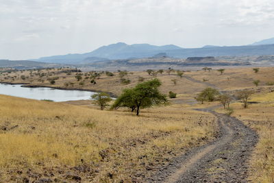 Scenic view of landscape against sky