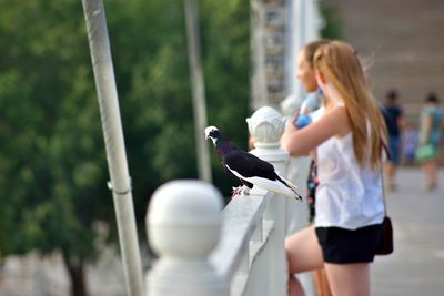 Pigeon on railing against friends standing on footbridge