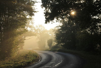 Road amidst trees against sky