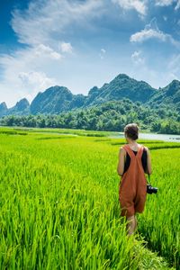 Rear view of woman walking on rice paddy against sky