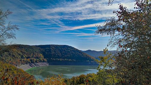 Scenic view of lake by trees against sky