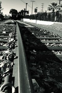 Railroad tracks amidst trees against sky