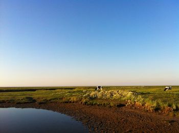 Scenic view of landscape against clear sky