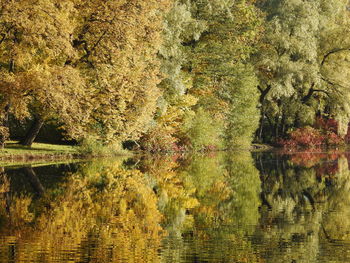 Scenic view of lake in forest during autumn