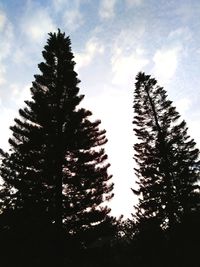 Low angle view of silhouette tree against sky during sunset