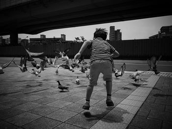 Rear view of child shooing pigeons in city