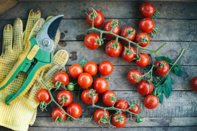 High angle view of tomatoes on table