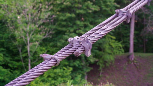 Close-up of rope tied on metal