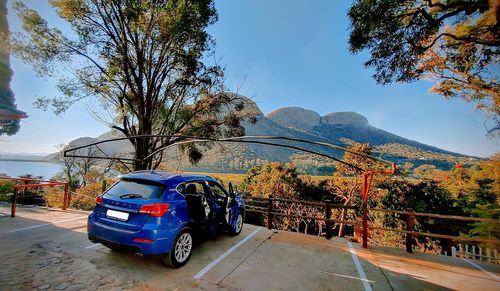 Cars on road by trees against sky