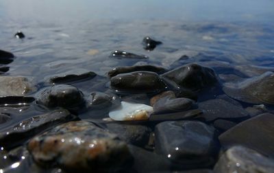 Rocks in sea