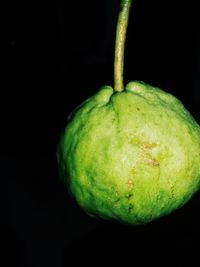 Close-up of fruit over black background