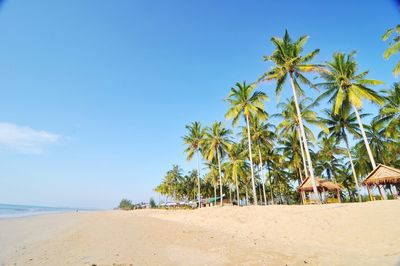 Scenic view of beach against clear blue sky