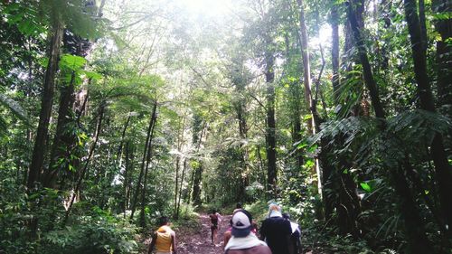 Low angle view of people in forest