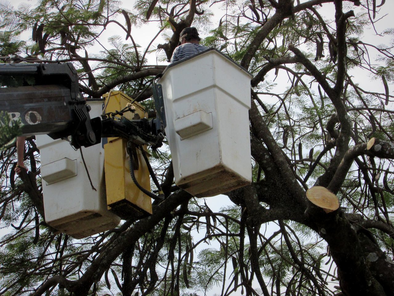 LOW ANGLE VIEW OF BIRDHOUSE AGAINST BUILDING