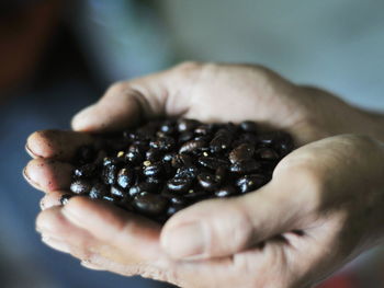 Close-up of hand holding fruit