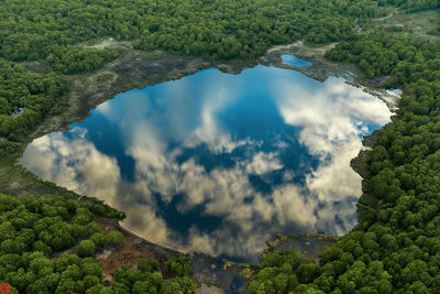 Forest lake. kamchatka peninsula.