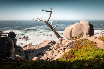 Scenic view of sea against clear sky