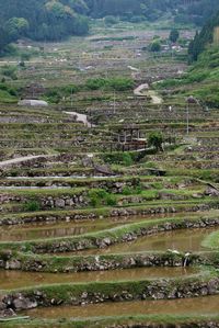 Scenic view of landscape