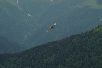 Scenic view of mountains