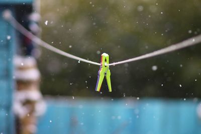 Close-up of water hanging on clothesline