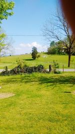 Scenic view of grassy field against sky