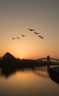 Silhouette birds flying over river against clear sky during sunset