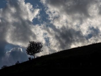 Low angle view of silhouette trees against sky