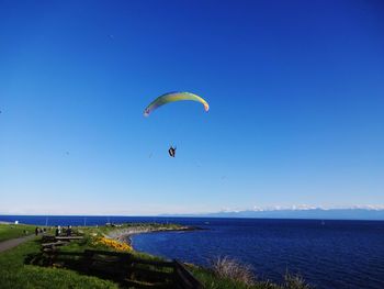 Person paragliding over sea against clear blue sky