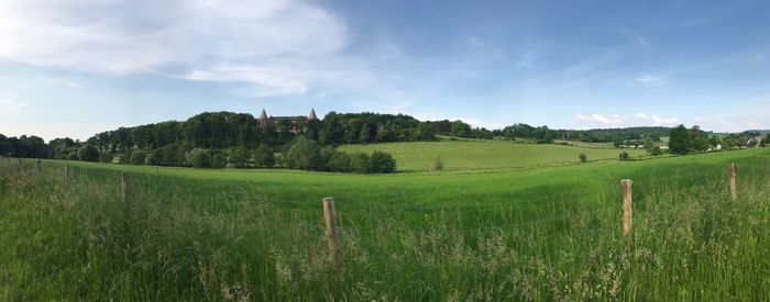 Scenic view of agricultural field against sky