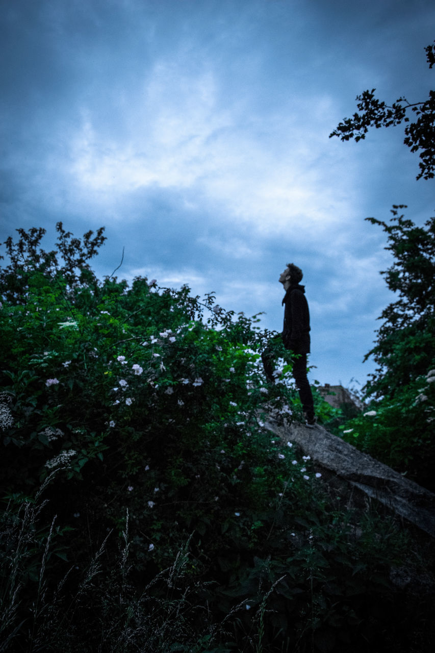 sky, cloud - sky, real people, one person, standing, tree, nature, full length, low angle view, day, outdoors, leisure activity, lifestyles, growth, beauty in nature, men, adventure, people