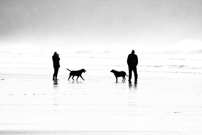 Silhouette people walking on beach against sky during winter