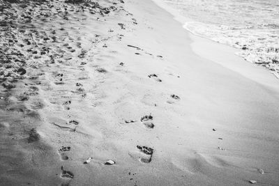 High angle view of footprint on sand at beach