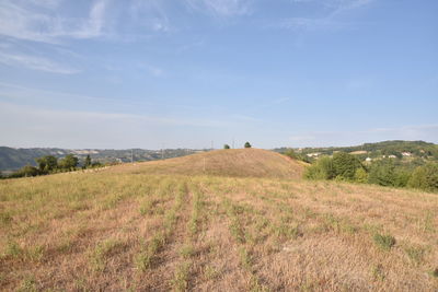 Scenic view of field against sky