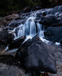 Scenic view of waterfall in forest