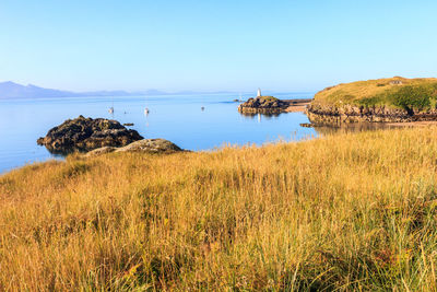 Scenic view of sea against clear sky