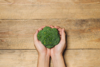 High angle view of hand holding vegetables on table