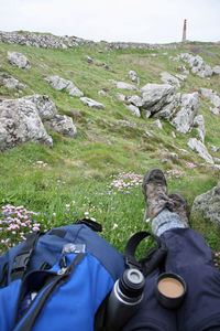 Low section of man wearing shoes on land