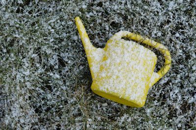 Close-up of yellow object