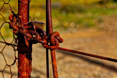 Close-up of rusty chain