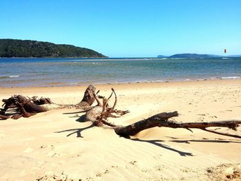 Scenic view of beach against blue sky